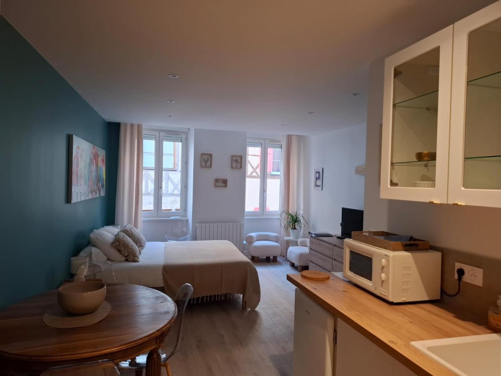 Studio Centre Macon Place Aux Herbes 외부 사진